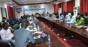 Head of Policy jobs in Ghana